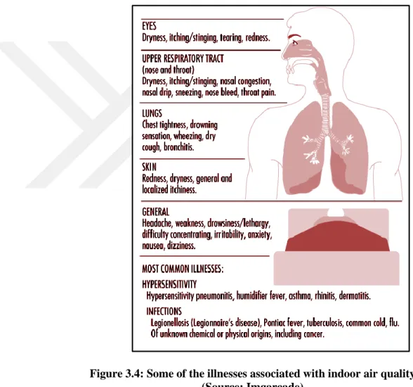 Figure 3.4: Some of the illnesses associated with indoor air quality  (Source: Imgarcade) 