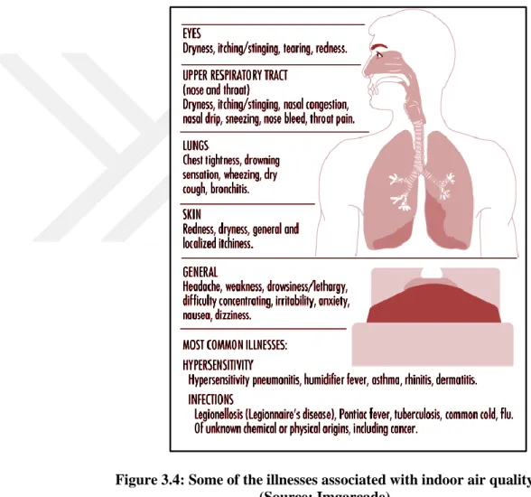 Figure 3.4: Some of the illnesses associated with indoor air quality  (Source: Imgarcade) 