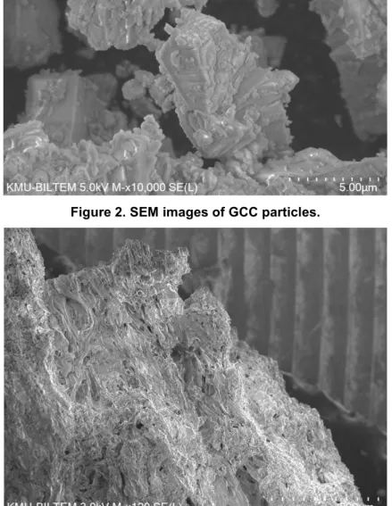 Figure 3. SEM images of PA particles. 