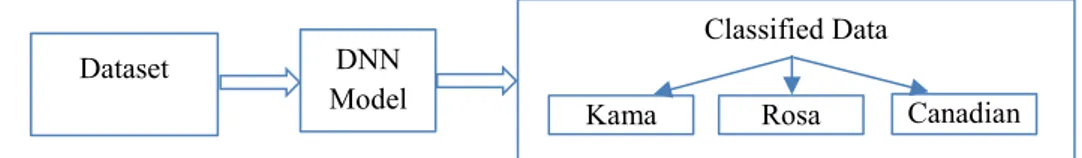 Figure 1. Schematic Diagram of The Model 
