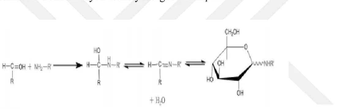 Şekil 2-7 Serbest amino grubu ve karbonil grubu arasındaki kondenzasyon reaksiyonu (Çelebi,   2006) 