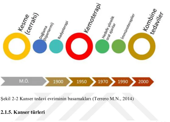 ġekil 2-2 Kanser tedavi evriminin basamakları (Terrero M.N., 2014) 