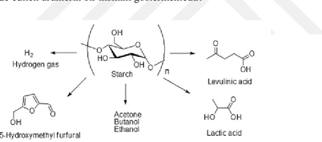 Şekil 2-2 Doğrudan nişastadan elde edilen  endüstriyel ürünler (Khlestkin ve ark.,2018)