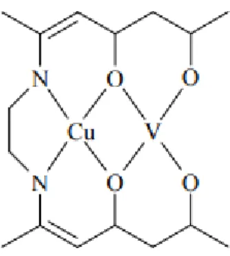 ġekil 1. 7. “Comparmental” ligand çeĢitleri 