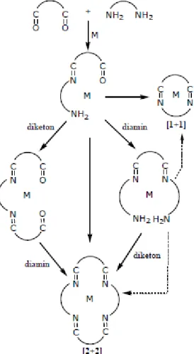 ġekil  2.  2.    Metal-iyon  kontrollü  [1+1]  ve  [2+2]  Schiff-baz  makrohalka  kompleks  oluĢumlarının  Ģematik gösterimi 