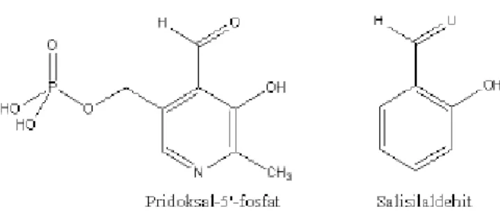 ġekil 2. 3.  Pridoksal-5‟- fosfat' a benzeri yapıda bulunan salisilaldehit 