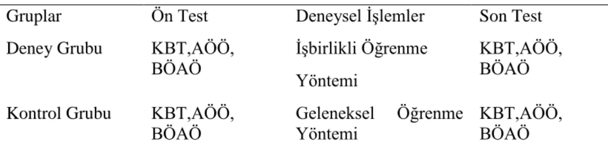 Çizelge 3.1. Çalışma deseni 