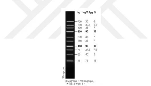 Şekil 3.5. 25 bp DNA Ladder’a ait cetvel (Thermo Scientific) 