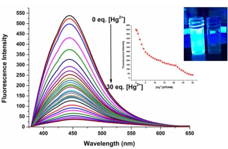 Figure 4. The fluorescence spectrum of PENIM with of increasing concentration of Hg 2+  in EtOH (ex= 364 nm)