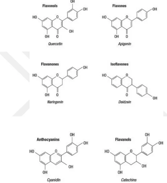 ġekil 2. 1. Flavonoidlerin kimyasal yapıları (Ignat ve ark., 2011) 