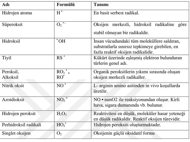 Çizelge  2.  1  Bazı  serbest  radikal  türleri  (Tulunoğlu,  1999;  Gök  ve  ark.,  2006;  Koç,  2012; Dasgupta ve Klein, 2014) 