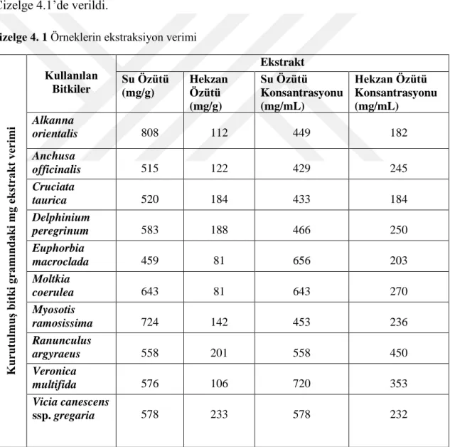 Çizelge 4. 1 Örneklerin ekstraksiyon verimi 
