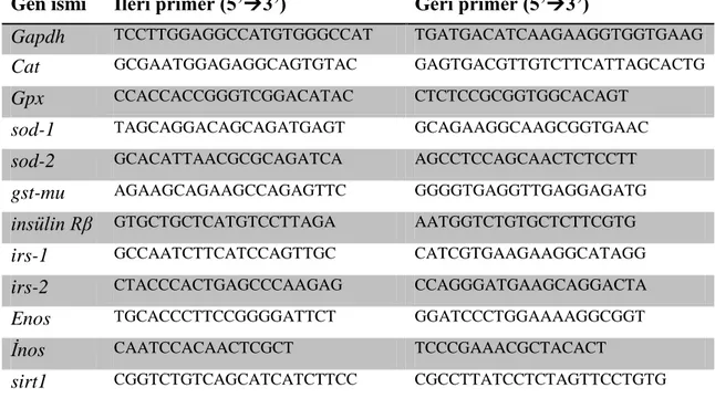 Çizelge 4.1. Antioksidan  enzimler  ile  insülin  sinyal  iletim  yolağında  bulunan  bazı  genlerin  ekspresyon analizlerinde kullanılan primer çiftleri