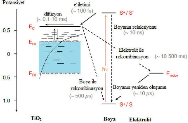 Şekil 2.2.  BDGP’lerin çalışma prensibi ve yapısında meydana gelen kinetik süreçler   (Wenger, 2010)
