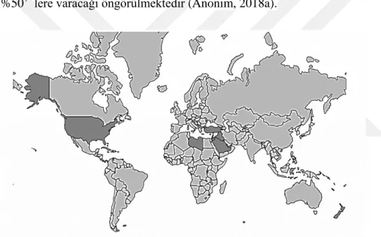 Şekil 2-3. 2018 – 2019 DSÖ Dünya Obezite Oranı Verileri (Anonim, 2019). 