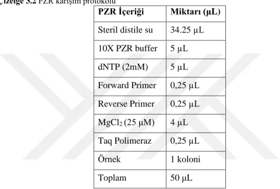 Çizelge 3.2 PZR karışım protokolü 