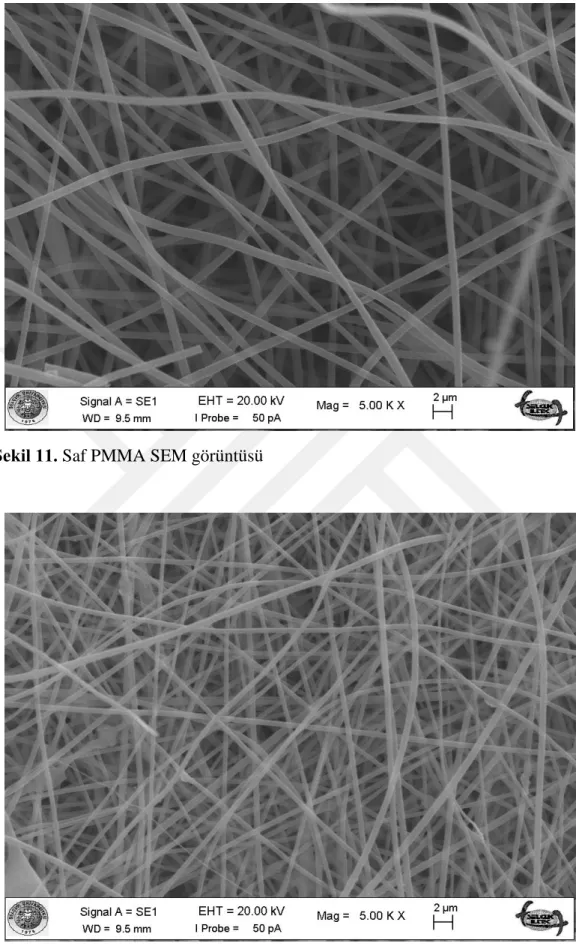 Şekil 12. PMMA-15 SEM görüntüsü 