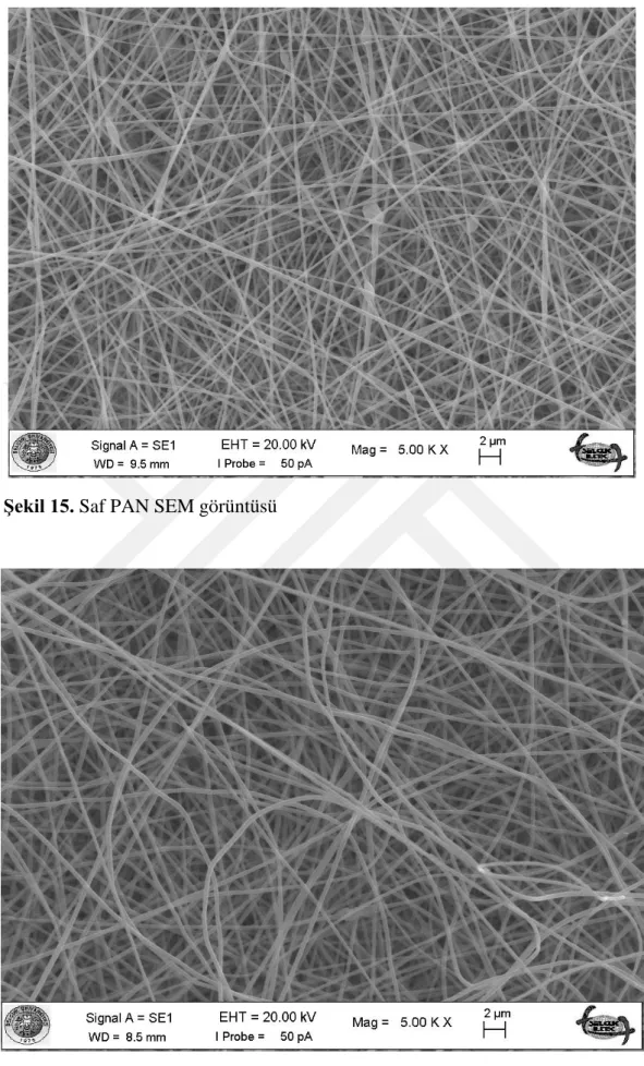 Şekil 16. PAN-15 SEM görüntüsü 