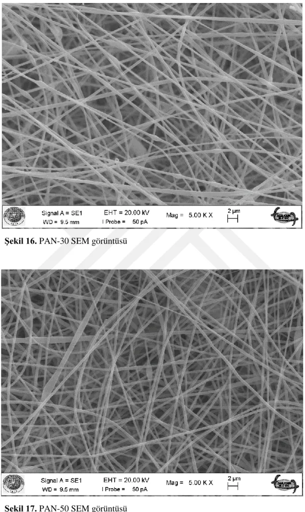 Şekil 17. PAN-50 SEM görüntüsü 