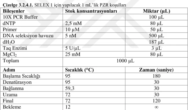 Çizelge 3.2.4.1. SELEX 1 için yapılacak 1 mL’lik PZR koşulları 