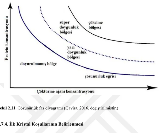 Şekil 2.11. Çözünürlük faz diyagramı (Gavira, 2016, değiştirilmiştir.) 