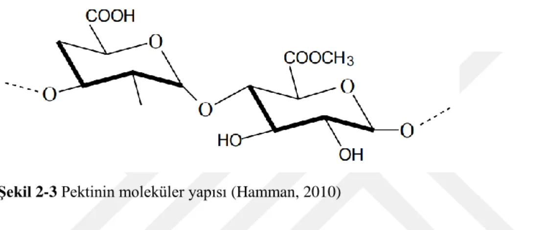 Şekil 2-3 Pektinin moleküler yapısı (Hamman, 2010) 