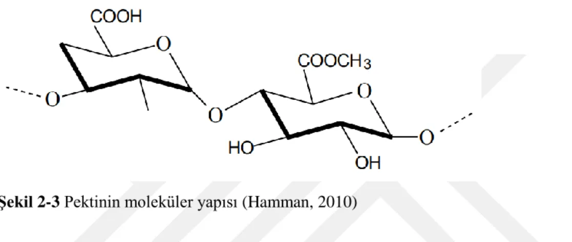 Şekil 2-3 Pektinin moleküler yapısı (Hamman, 2010) 