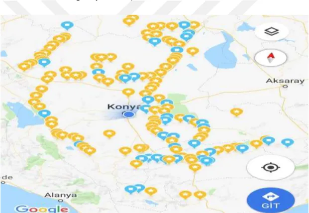 Şekil 4-1 2016 ve 2017 yıllarında Konya ve Karaman illerinden tahıl yetiştirme alanlarından örneklerin  alındığı lokasyonların harita üzerinde gösterimi (*: buğday, □: arpa)