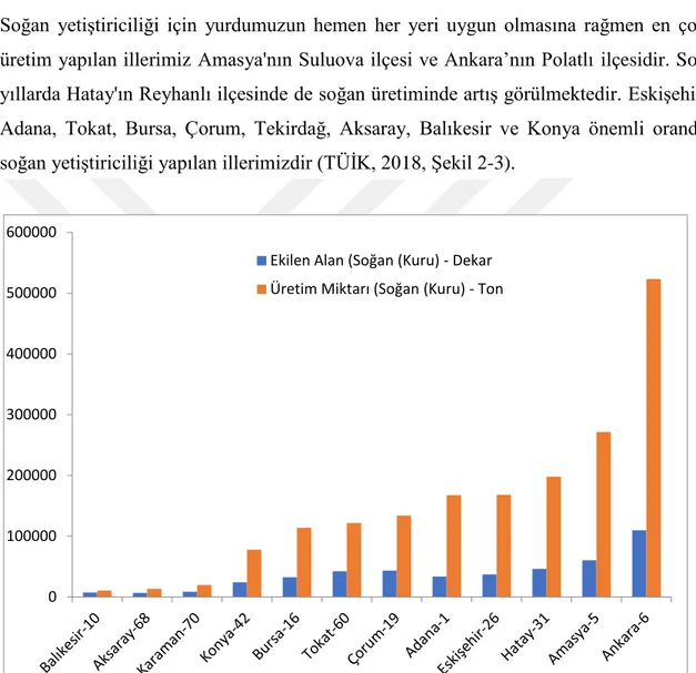Şekil 2-3 Türkiye’ de 2016 yılında önemli oranda kuru soğan üretimi yapılan bazı illerimiz (TÜİK, 2018)