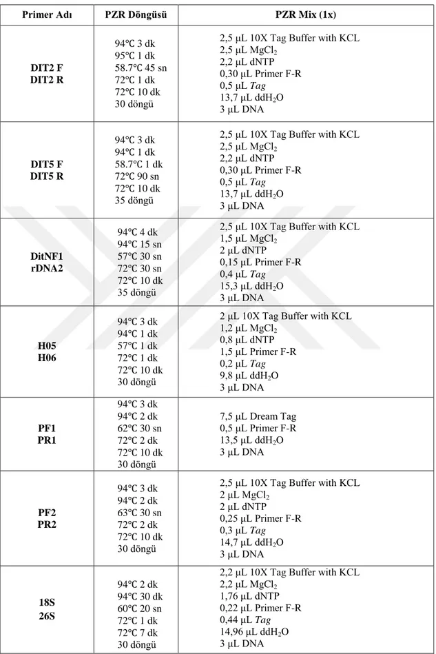 Çizelge 3.3. Çalışmada kullanılan primerlere ait PZR koşulları (devam)