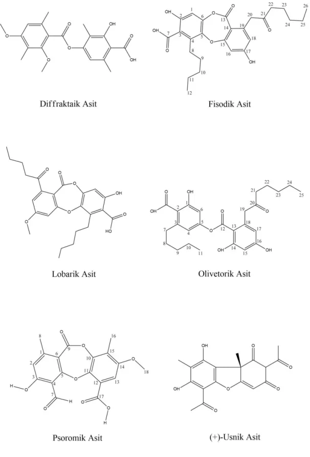 Şekil 3.4  Deneysel çalışmalarda kullanılan liken sekonder metabolitlerinin kimyasal yapıları