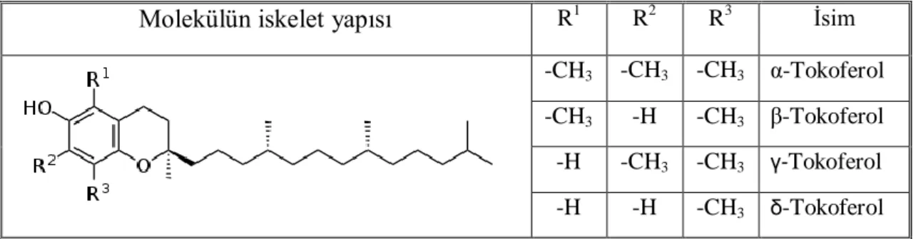 Şekil 2.13. E vitamininin değişik formlarının molekül şekli 