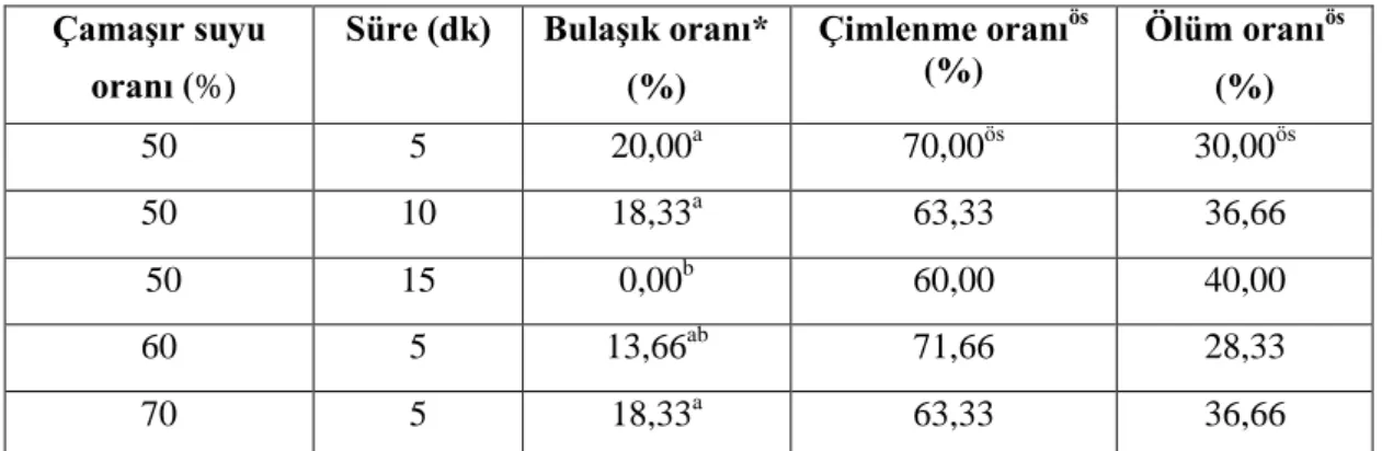 Çizelge 4.2. Çamaşır suyu (NaOCl) ile yapılan yüzey sterilizasyon sonuçları    ÇamaĢır suyu 