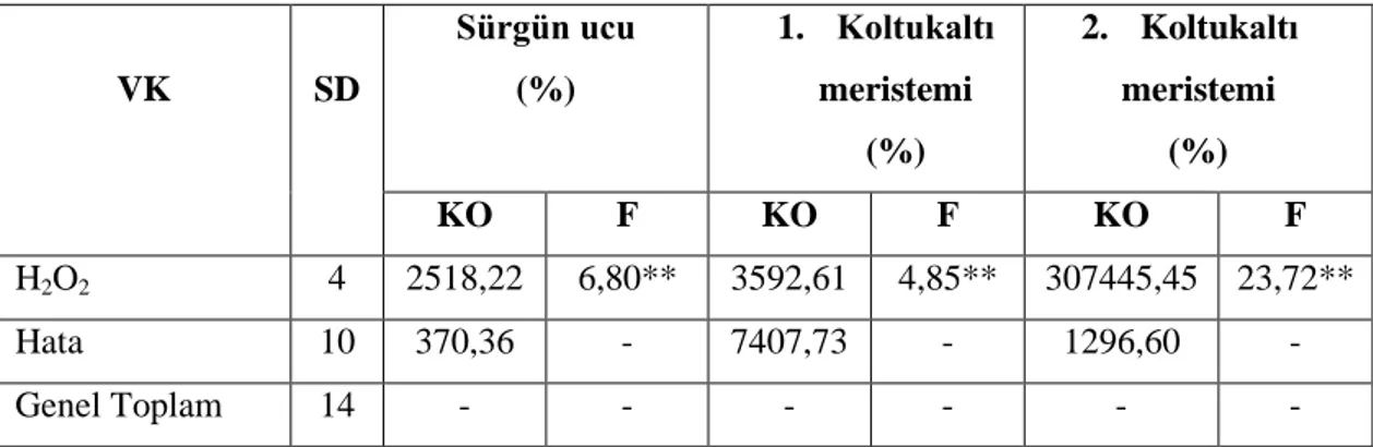 Çizelge  4.1.  H.  polysperma  bitkisinin  H 2 O 2  ile  yüzey  sterilizasyonu  çalışmasına  ait  varyans       analizi  VK  SD  Sürgün ucu (%)  1