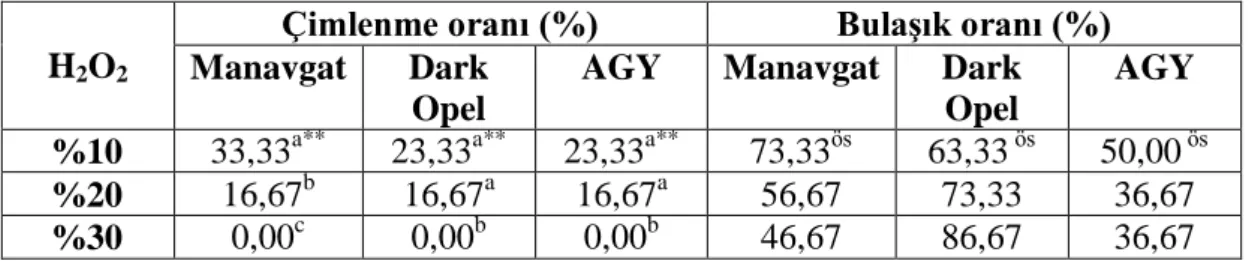 Çizelge  4.1  Fesleğen  bitkisinde  H 2 O 2   ile  yapılan  yüzey  sterilizasyonun  çimlenme  ve  bulaşık oranlarına etkisi  