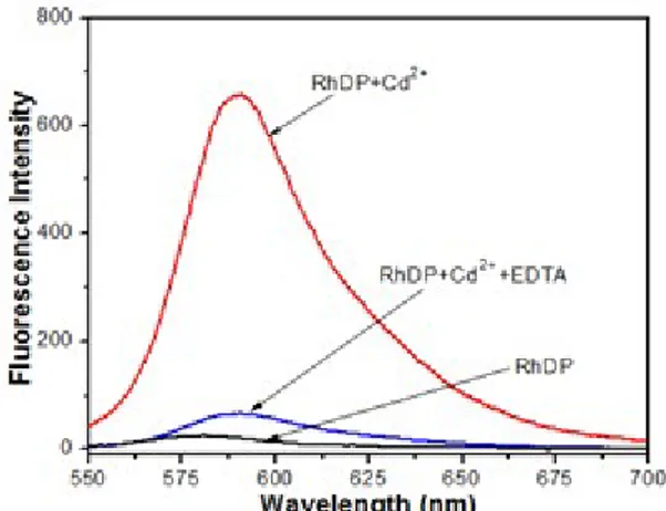 Figure 6: Fluorescence emissions showing reversibility of RhDP (20 μM RhDP with gradual addition of CdClM) to Cd 2+  ions by EDTA