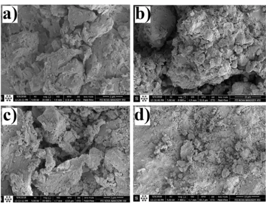 Fig. 6. Micro structure of steel slag added RCC (Rooholamini et al., 2019). 