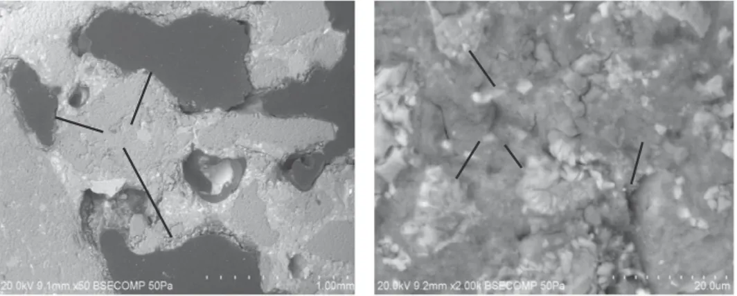 Fig. 8. Micro structure of glass powder added RCC (Omran et al., 2017).