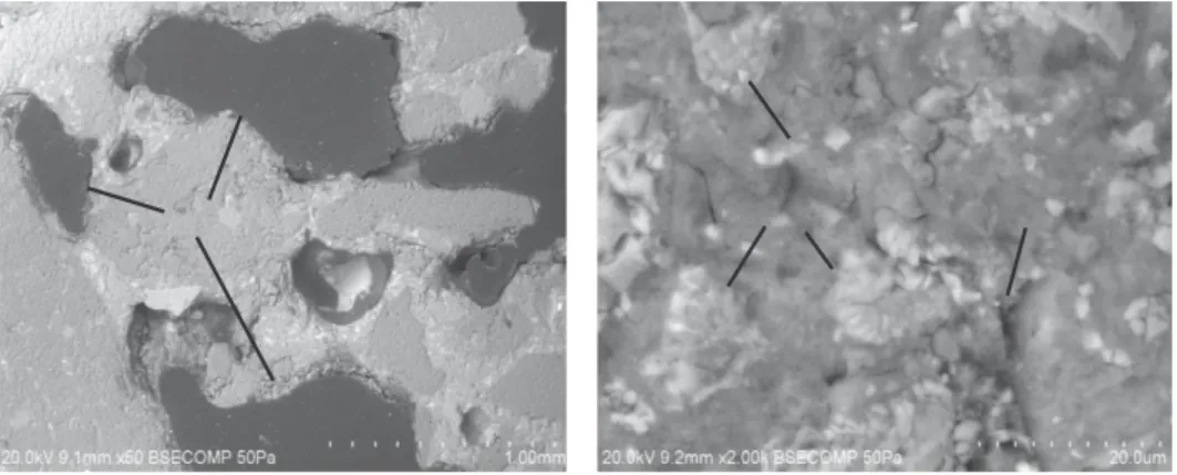 Fig. 8. Micro structure of glass powder added RCC (Omran et al., 2017).