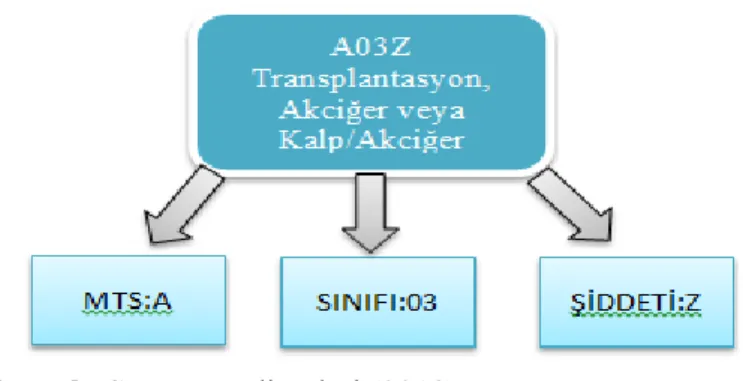 Tablo 4.TİG’in Yapısı 