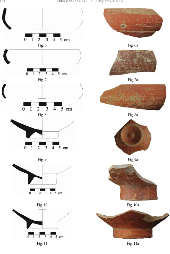 Fig. 6  Fig. 6a 