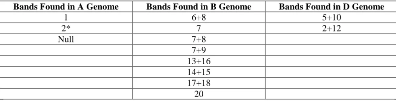 Table 3. HMW-GS alleles in genomes of bread wheat by Payne and Lawrence (1983) 