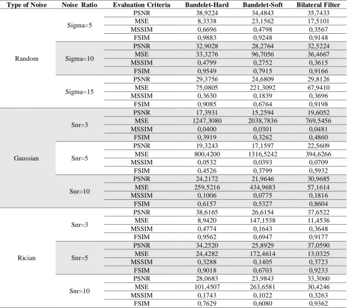 Table 1. Denoising performance results of fundus images 