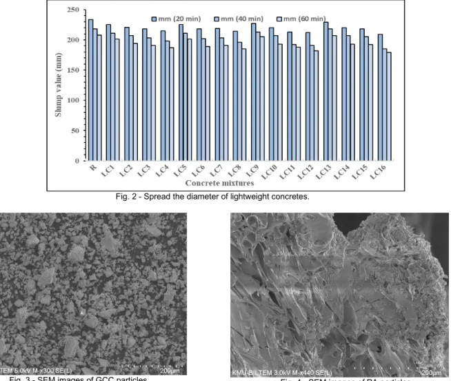 Fig. 3 - SEM images of GCC particles.  Fig. 4 - SEM images of PA particles. 