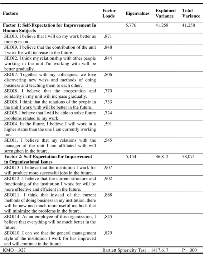 Table 1. Pilot Study: Exploratory Factor Analysis Findings 