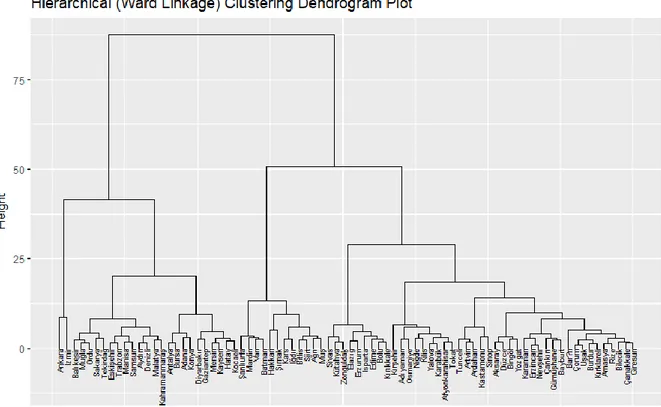 Figure 1. Hierarchical (Ward Linkage) Clustering Dendrogram Plot 