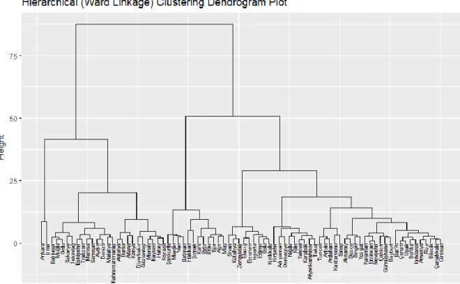 Figure 1. Hierarchical (Ward Linkage) Clustering Dendrogram Plot 