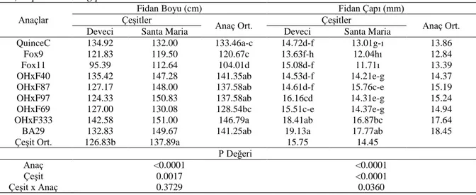 Çizelge 1.Armut fidanı üretiminde farklı çeşit/anaç kombinasyonlarınınfidan boyuna (cm) ve fidan çapına  (mm) etkisi 