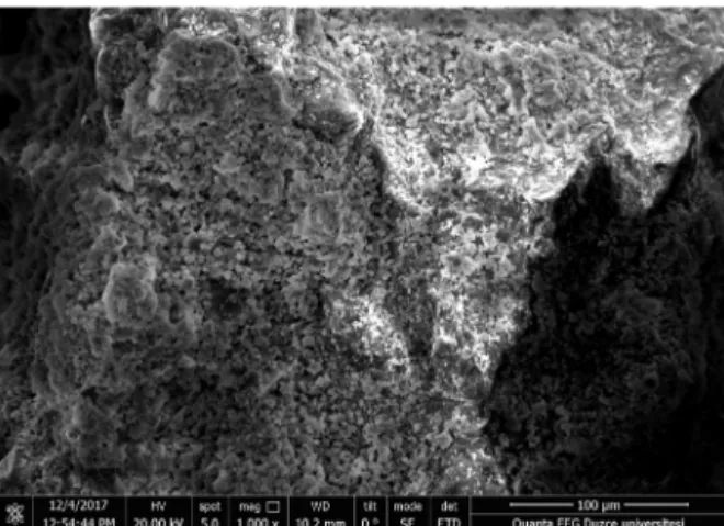Fig. 11 – SEM images of the RCC-15 specimen at 1000 × magniﬁcation.