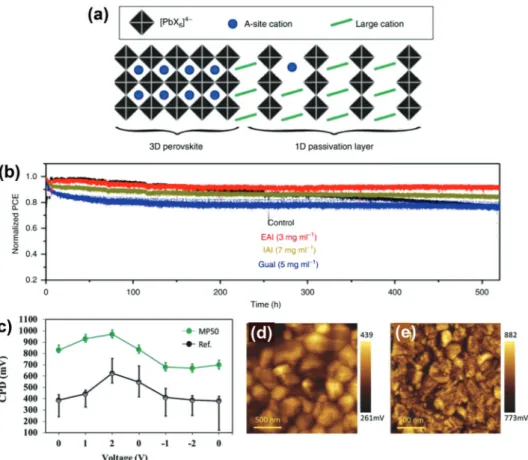 Figure 3. a) Schematic representation of the 1D/3D heterostructure evidenced by solid-state NMR proximity measurements